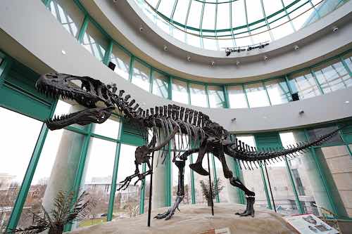 Dinosaur at the North Carolina Museum of Natural Sciences